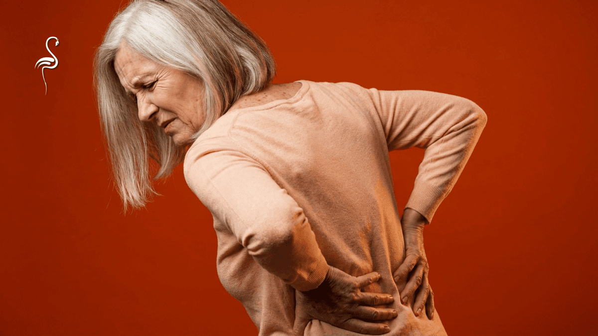 Bel Fıtığı Belirtileri ve Tedavi Yöntemleri