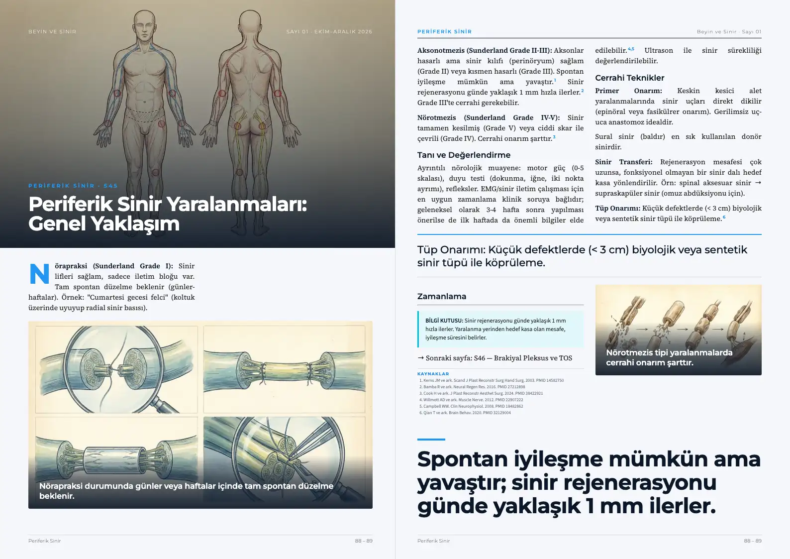 Beyin ve Sinir Sayı 01 — Periferik Sinir Yaralanmaları: Genel Yaklaşım · s. 88–89