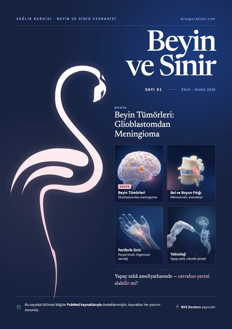 Beyin ve Sinir Sayı 01 kapağı